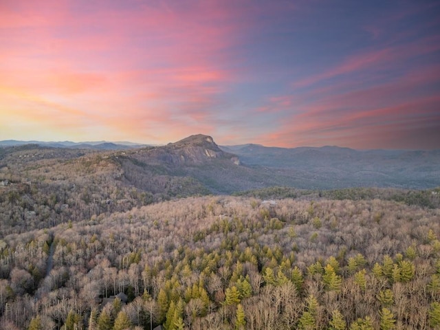 property view of mountains featuring a forest view