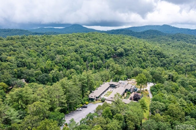 bird's eye view with a view of trees and a mountain view