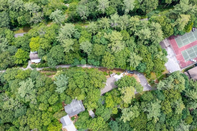drone / aerial view