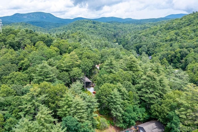 aerial view with a forest view and a mountain view