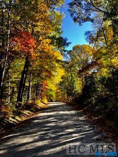 178 Whetstone Gap Rd, Lake Toxaway, NC 28747 - view of street featuring a view of trees