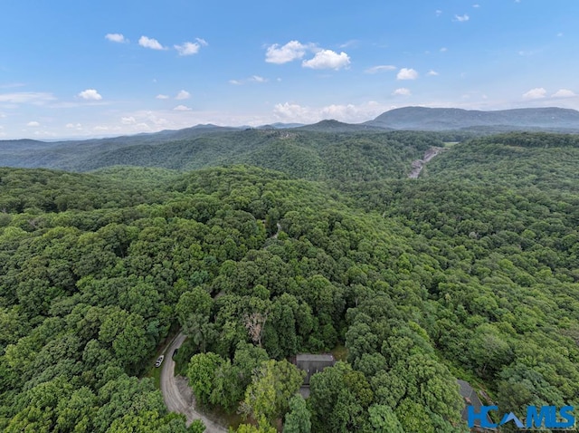 178 Whetstone Gap Rd, Lake Toxaway, NC 28747 - view of mountain background with a forest