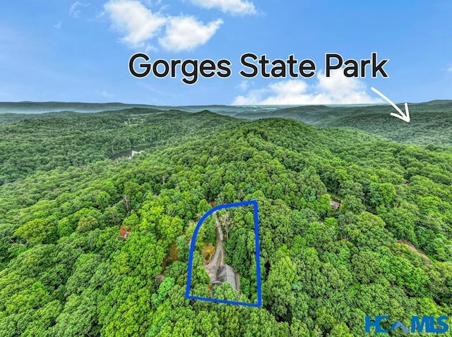 178 Whetstone Gap Rd, Lake Toxaway, NC 28747 - view of mountain backdrop with a heavily wooded area