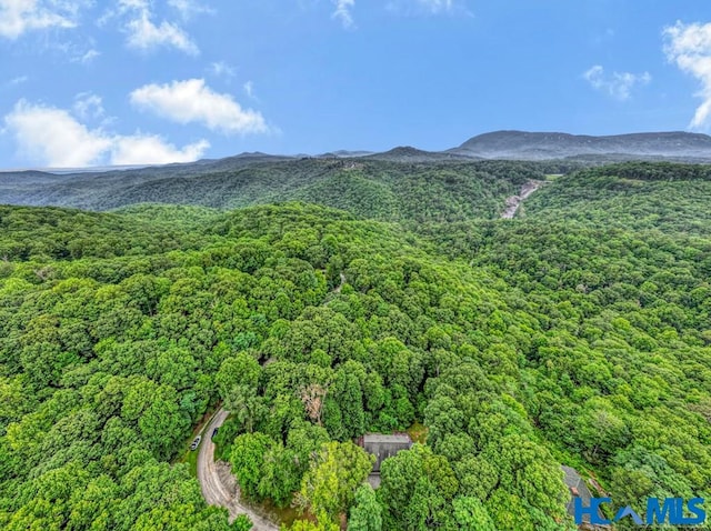 178 Whetstone Gap Rd, Lake Toxaway, NC 28747 - mountain view with a forest