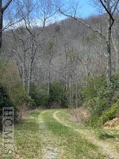 Listing photo 3 for 6507 Dillard Rd, Scaly Mountain NC 28775