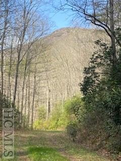 Listing photo 2 for 6507 Dillard Rd, Scaly Mountain NC 28775