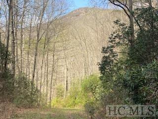 6507 Dillard Rd, Scaly Mountain NC, 28775 land for sale