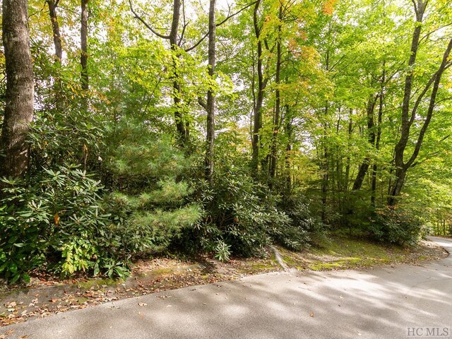 000 Trillium Ct, Sapphire NC, 28774 land for sale