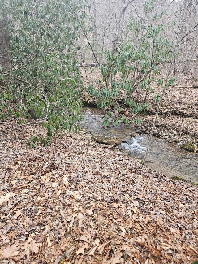 view of local wilderness with a water view