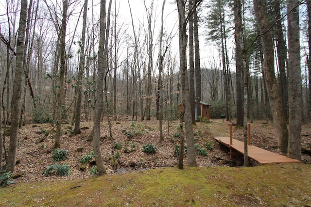 view of yard featuring an outbuilding and a wooded view