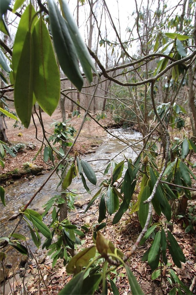 view of nature