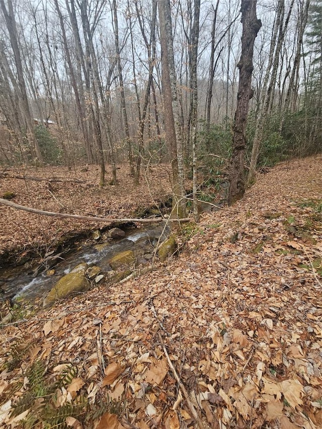 view of local wilderness with a wooded view