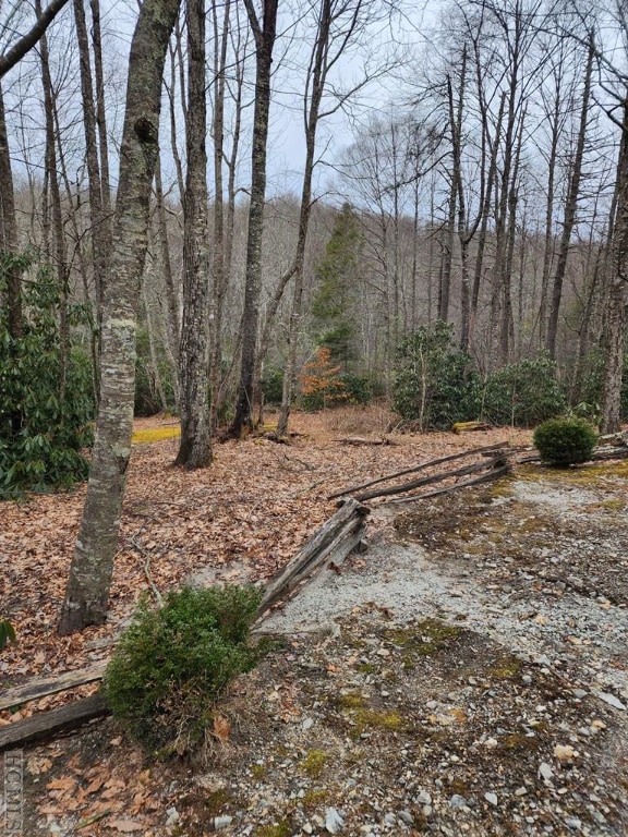 Listing photo 3 for LOT8 Highland Bog Ct, Sapphire NC 28774