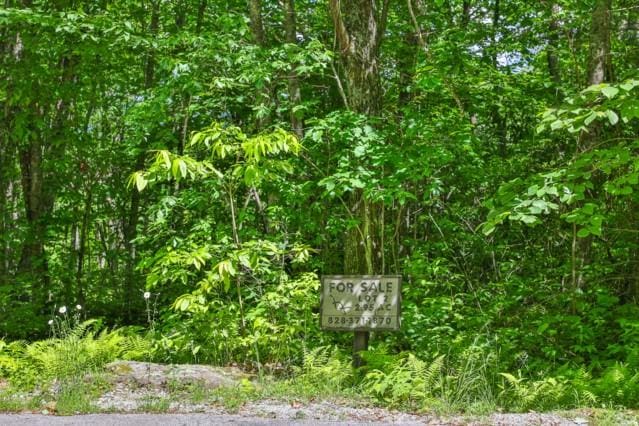 LOT2 Hardscrabble Ridge Rd, Highlands, NC 28741