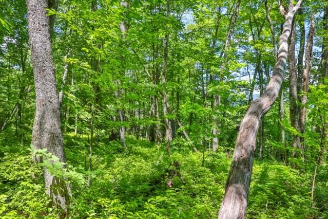 LOT2 Hardscrabble Ridge Rd, Highlands, NC 28741