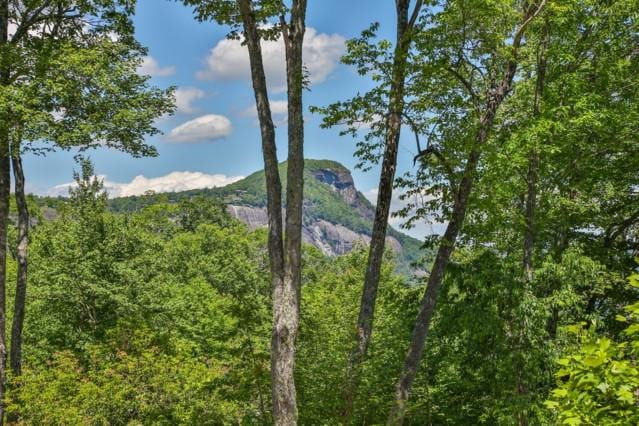 LOT2 Hardscrabble Ridge Rd, Highlands, NC 28741