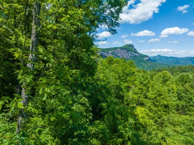 LOT2 Hardscrabble Ridge Rd, Highlands, NC 28741