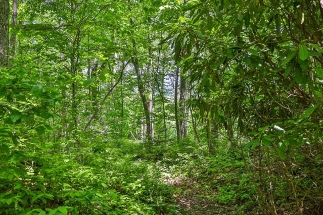 LOT2 Hardscrabble Ridge Rd, Highlands, NC 28741