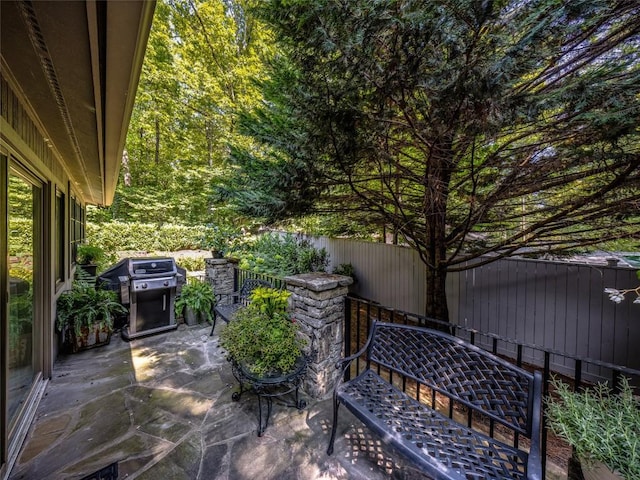 64 Toxaway Shrs Unit 2, Lake Toxaway, NC 28747 - fenced backyard with a patio area and area for grilling