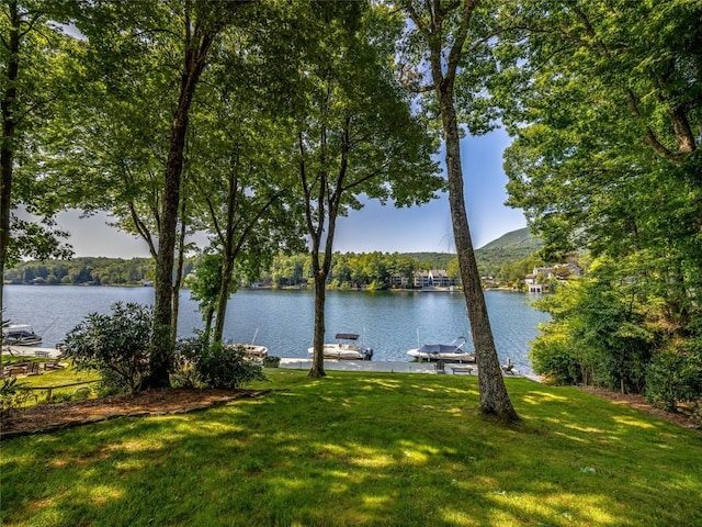 64 Toxaway Shrs Unit 2, Lake Toxaway, NC 28747 - water view featuring a dock