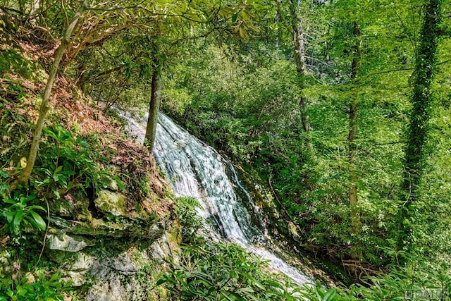 view of local wilderness