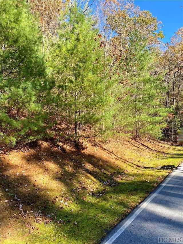 0000 Hawk Mountain Rd, Lake Toxaway NC, 28747 land for sale