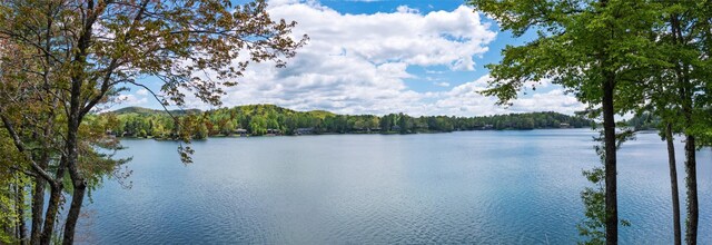 water view featuring a heavily wooded area