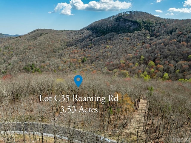 Listing photo 3 for C35 Roaming Rd, Glenville NC 28736