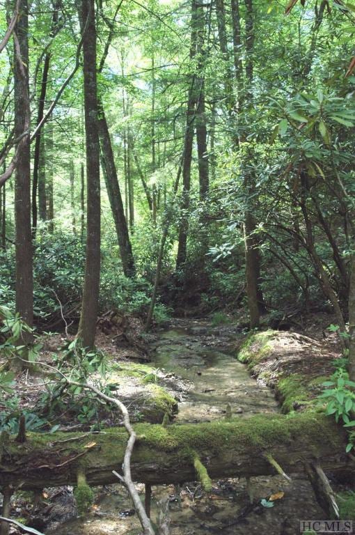 LOT2B Fly Fishing Ln, Cashiers NC, 28717 land for sale