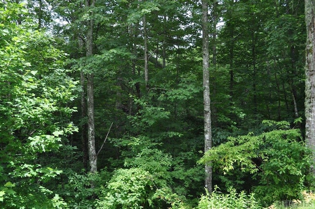 Listing photo 2 for LOT2B Fly Fishing Ln, Cashiers NC 28717