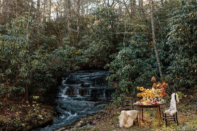 view of water feature