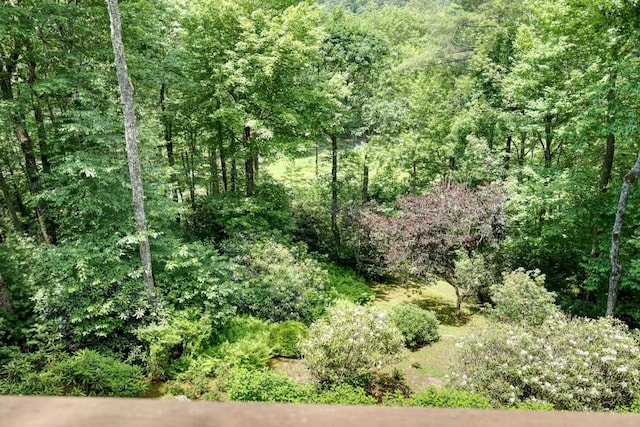 40 Piney Ridge Ct, Sapphire, NC 28774 - view of woods