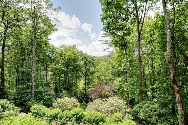 40 Piney Ridge Ct, Sapphire, NC 28774 - view of wooded area