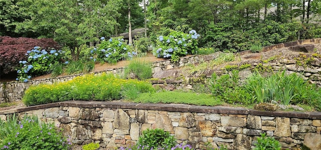 40 Piney Ridge Ct, Sapphire, NC 28774 - view of yard