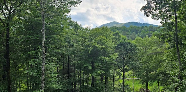 40 Piney Ridge Ct, Sapphire, NC 28774 - mountain view with a heavily wooded area