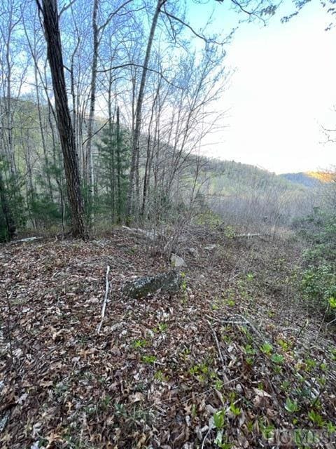 Listing photo 2 for 00 Glennview Ln, Franklin NC 28734