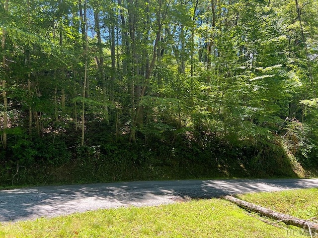 Listing photo 2 for LOT5 Parachute Rdg, Glenville NC 28736