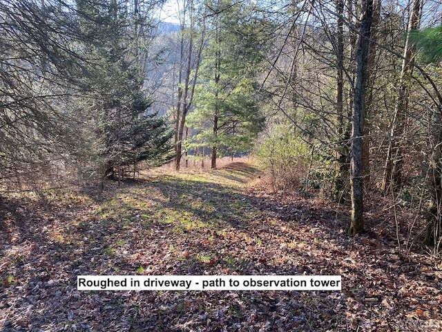 Listing photo 2 for LOT16 Trillium Ridge Rd, Cullowhee NC 28723