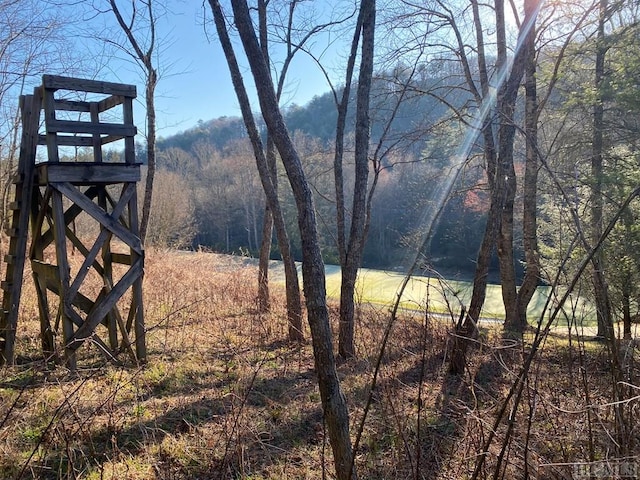 Listing photo 3 for LOT16 Trillium Ridge Rd, Cullowhee NC 28723