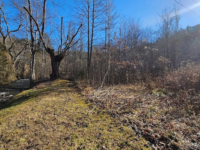 Listing photo 3 for 24.74AC E Fork Rd, Sylva NC 28779