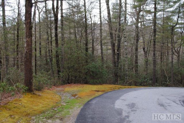 Listing photo 2 for LOTS-10 Cherokee Trce, Cashiers NC 28717