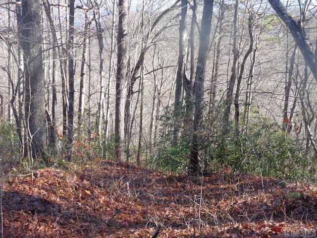 LOT20 Vail Pass Rd, Whittier NC, 28789 land for sale