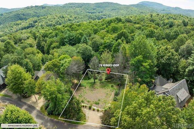 Listing photo 2 for 78 Ridges Loop, Cullowhee NC 28723