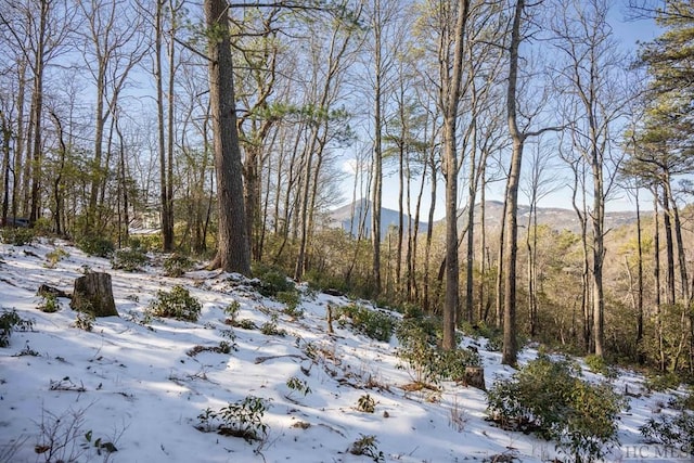 snowy landscape featuring a mountain view