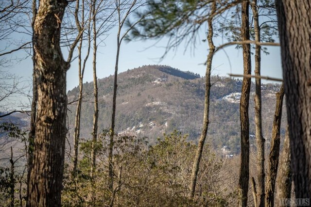 property view of mountains