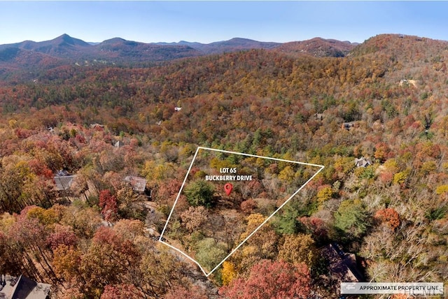 birds eye view of property featuring a mountain view