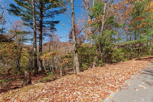 view of local wilderness