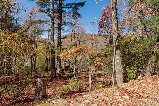 view of landscape