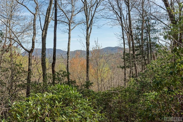 LOT4 Trillium Ridge Rd, Cullowhee NC, 28723 land for sale