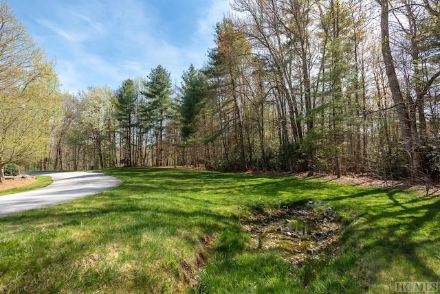 Listing photo 3 for LOT4 Trillium Ridge Rd, Cullowhee NC 28723